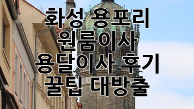 화성 용포리 원룸이사 🚚💨 용달이사 후기 & 꿀팁 대방출!